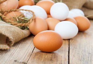 Eieren & Eiproducten