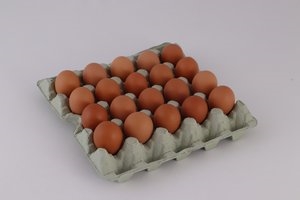 Kooi eieren bruin XL