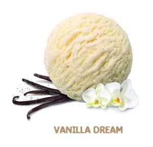 Roomijs vanilla dream