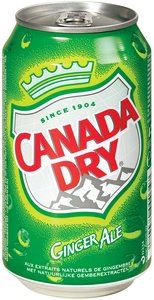 Canada dry blik 33 cl